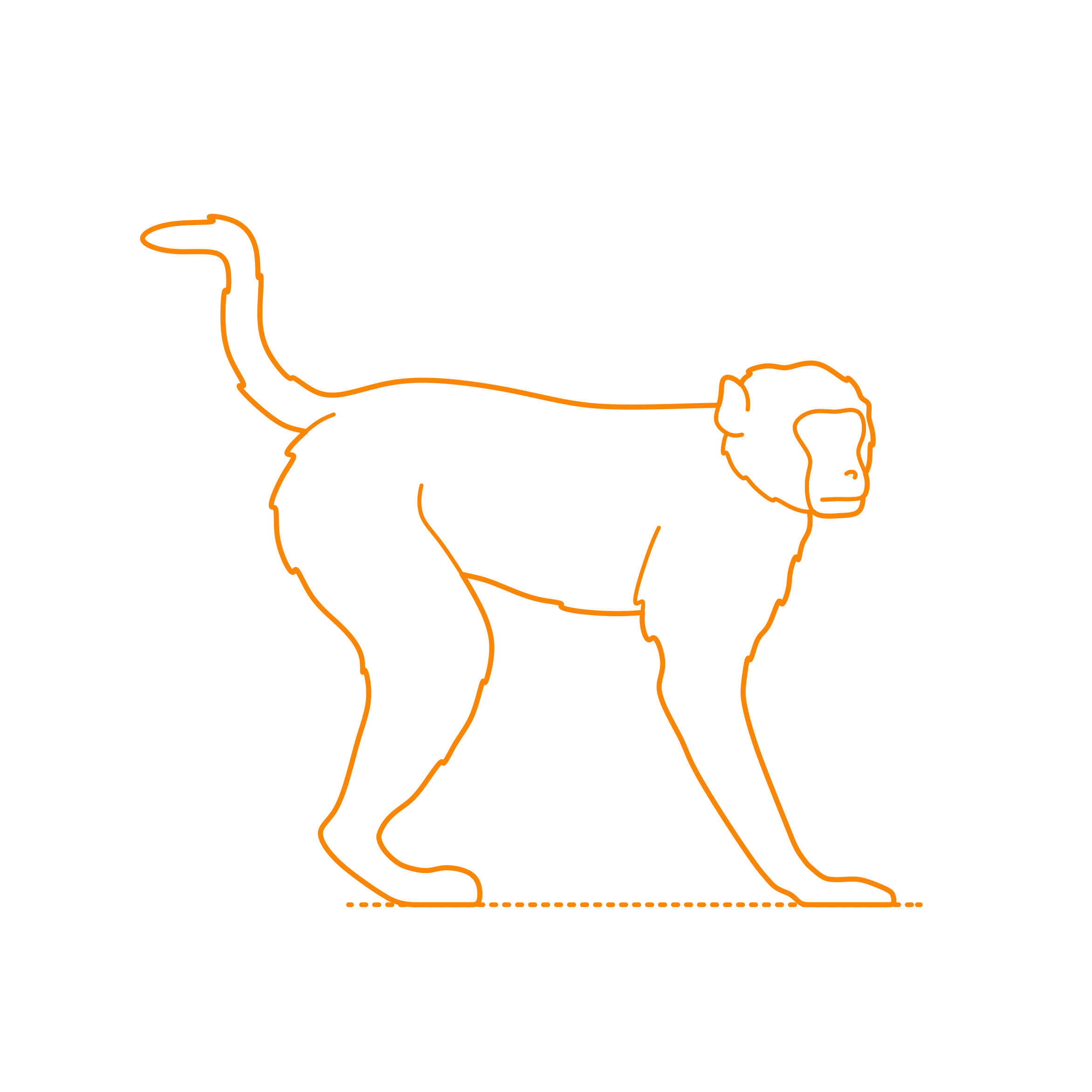 Animals Old World Monkeys Engraving Svg Design Free Vectors